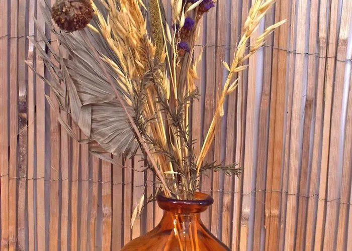 Apartamento L'effet - Homy